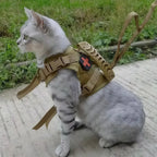 Chat portant un harnais tactique avec un symbole de croix sur fond herbeux

