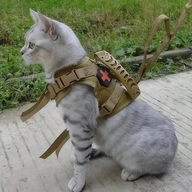 Chat portant un harnais tactique avec un symbole de croix sur fond herbeux

