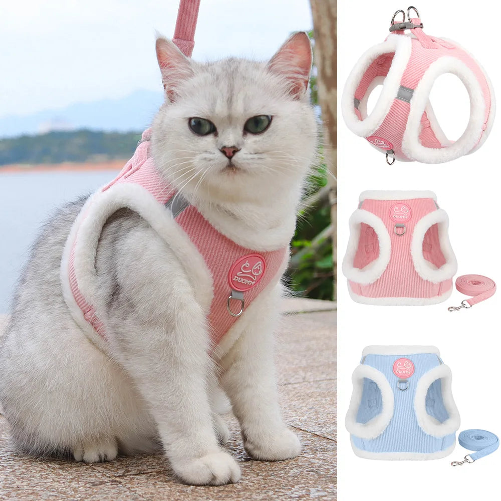 Chat portant un harnais rose avec des harnais et laisses supplémentaires exposés.

