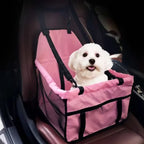 Chien blanc avec un harnais rose pour siège d’animaux à l’intérieur d’une voiture.
