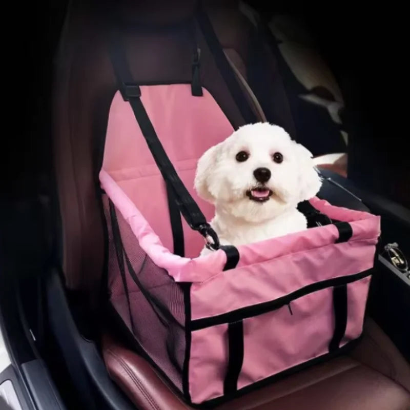 Chien blanc avec un harnais rose pour siège d’animaux à l’intérieur d’une voiture.
