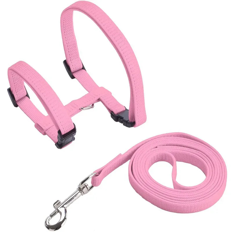 Harnais et laisse roses pour chien sur fond blanc

