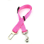 Laisse rose pour chien avec pince métallique sur fond blanc

