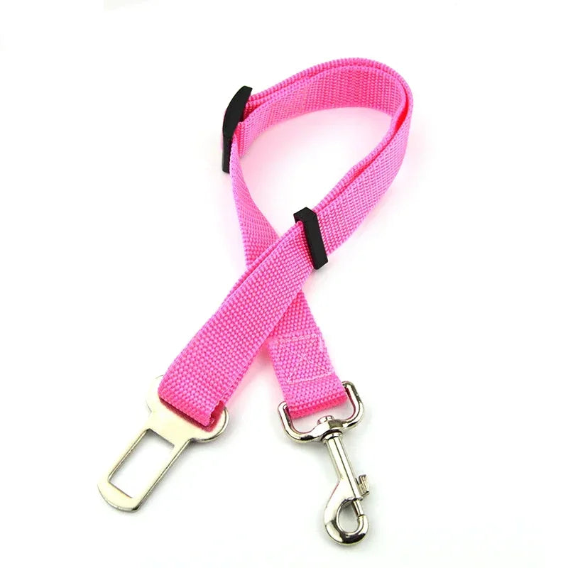 Laisse rose pour chien avec pince métallique sur fond blanc

