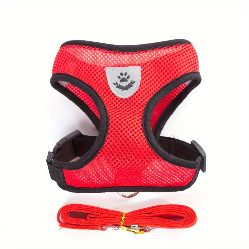 Harnais rouge pour chien avec sangles noires et laisse assortie sur fond blanc

