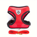 Harnais rouge pour chien avec sangles noires et laisse assortie sur fond blanc

