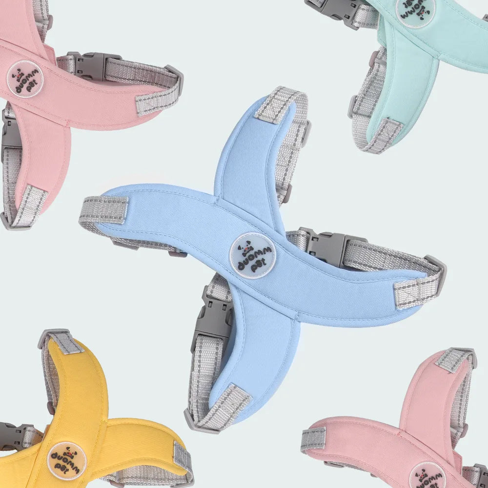 Ensemble de harnais colorés pour chiens avec un harnais bleu clair au centre sur un fond gris clair.

