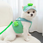 Petit chien blanc portant une tenue verte à carreaux décorée sur fond blanc

