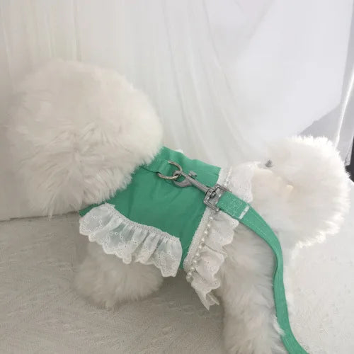 Harnais vert  avec des détails en dentelle blanche sur un fond blanc duveteux

