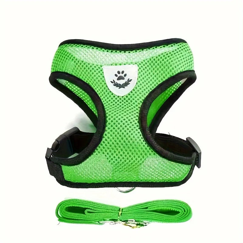Harnais vert pour chien avec sangles noires et laisse assortie sur fond blanc

