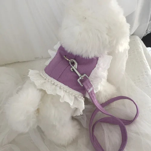 Harnais violet avec volants blancs et laisse assortie sur fond blanc duveteux
