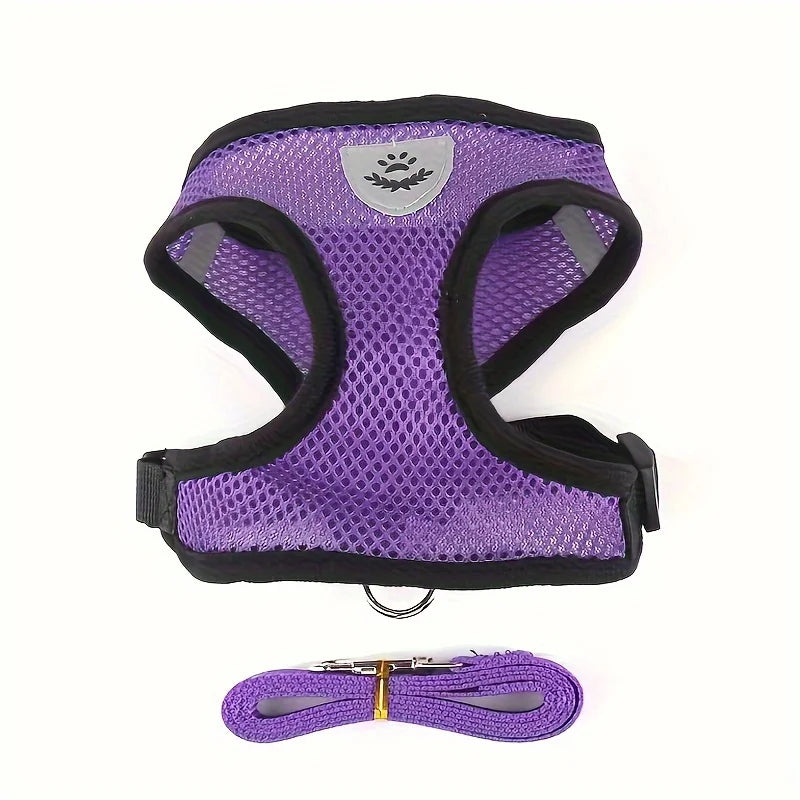 Harnais violet pour chien avec sangles noires et laisse assortie sur fond blanc

