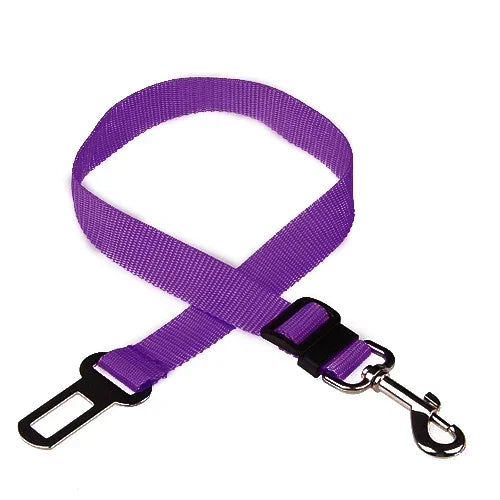 Ceinture de sécurité violette avec clip sur fond blanc

