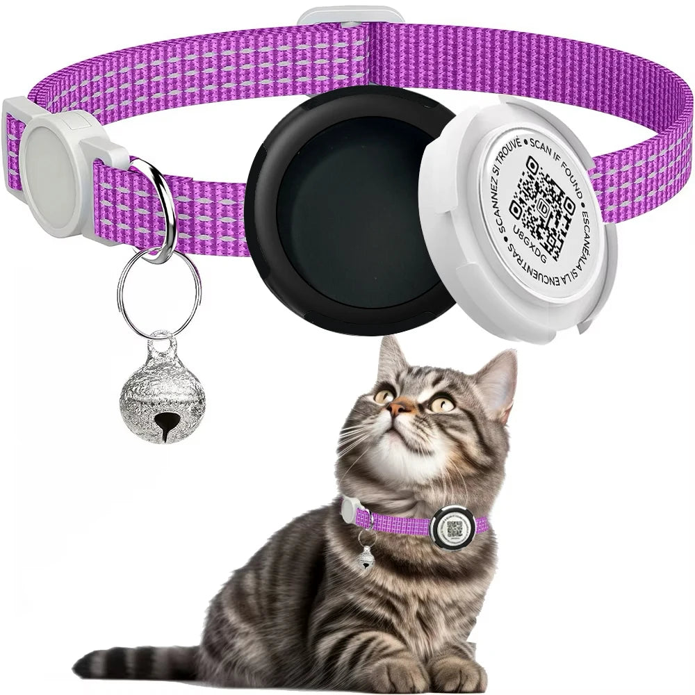 Chat portant un collier violet avec un dispositif de localisation et une clochette, sur fond blanc

