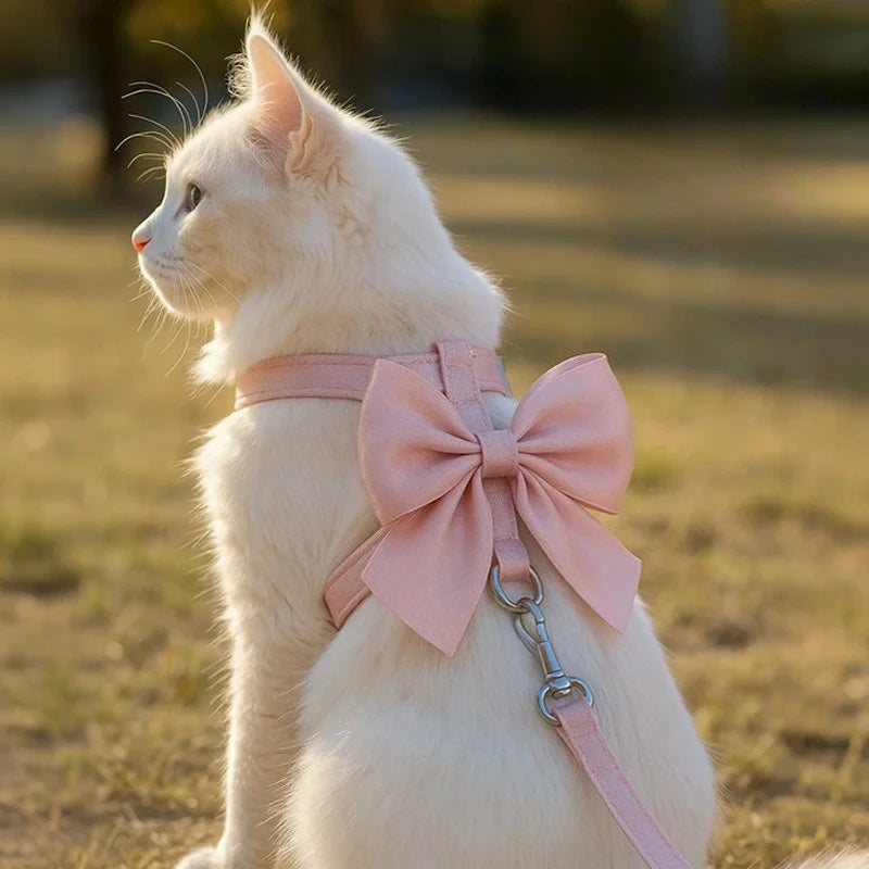 Chat blanc portant un harnais rose avec un grand nœud en plein air

