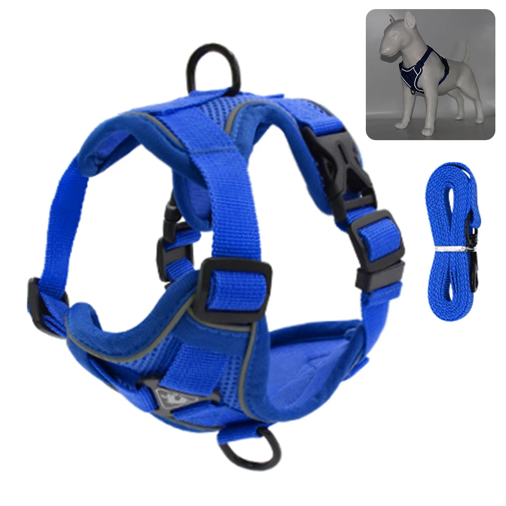 Harnais bleu pour chien avec laisse sur fond blanc

