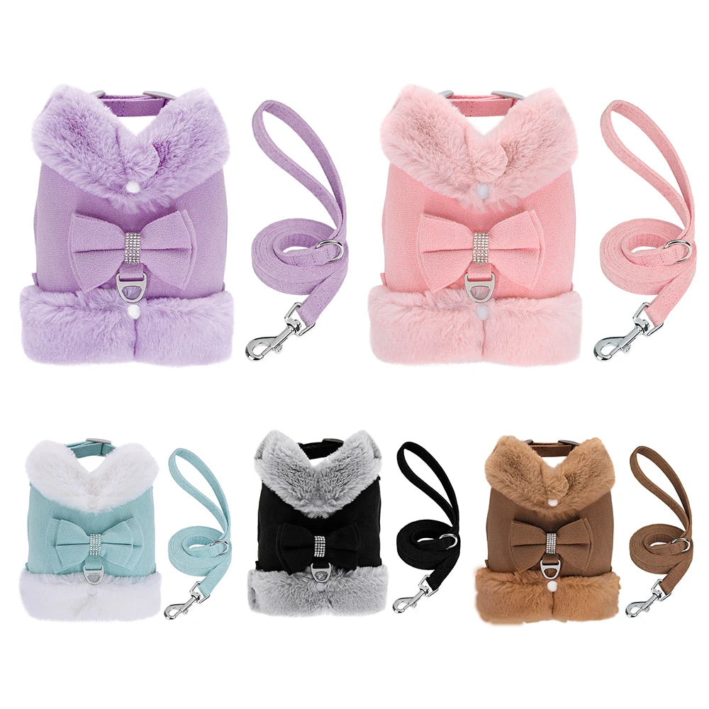 Ensemble de harnais colorés avec laisses sur fond blanc

