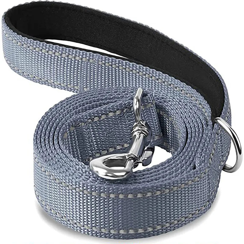 Laisse grise pour chien avec pince métallique sur fond blanc


