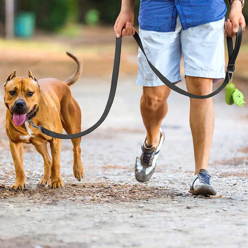 Personne promenant un chien en laisse en extérieur

