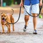 Personne promenant un chien en laisse en extérieur

