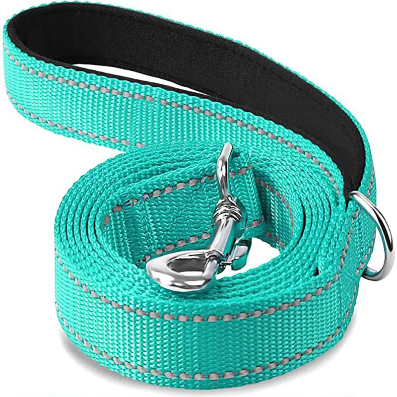 Laisse turquoise avec rayures réfléchissantes et fermoir argenté sur fond blanc

