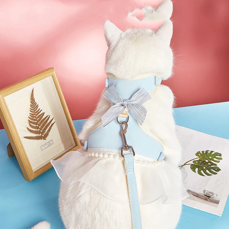 Jouet pour chat blanc avec un nœud et une feuille de fougère encadrée sur un fond rose et bleu

