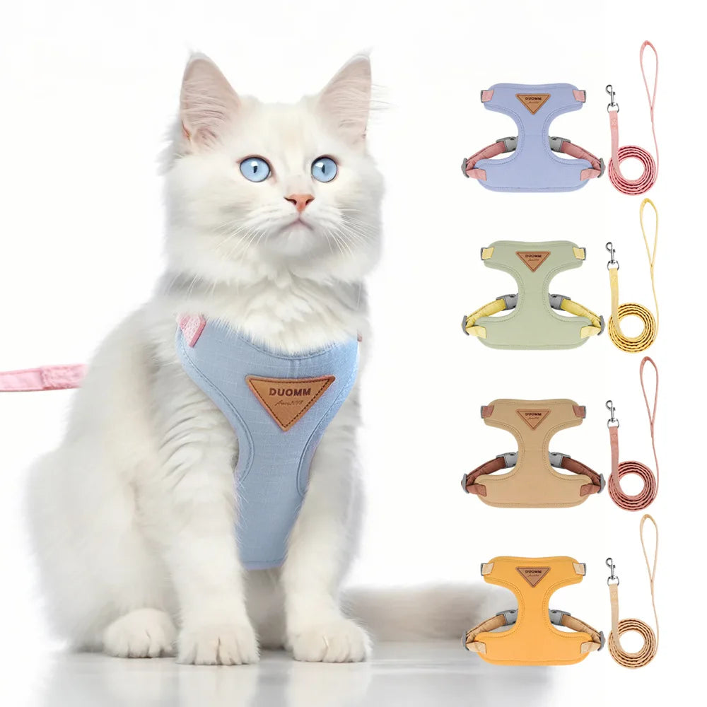 Chat blanc portant un harnais bleu avec différentes options de couleurs affichées sur un fond blanc

