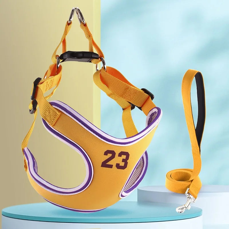 Harnais jaune pour chien avec le numéro 23 et la laisse sur un fond coloré
