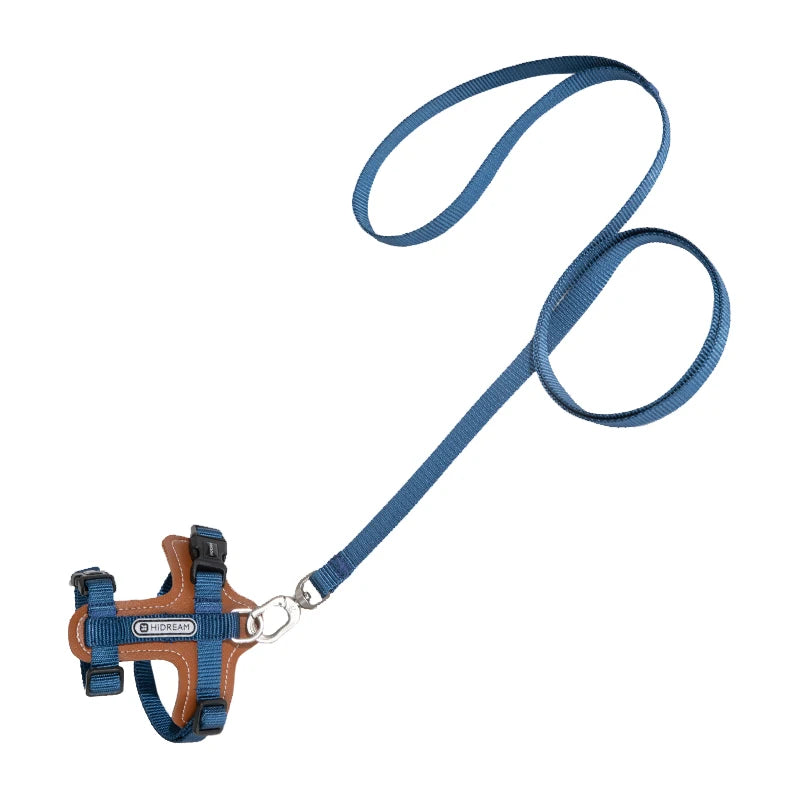 Harnais pour chat et laisse bleue sur fond blanc

