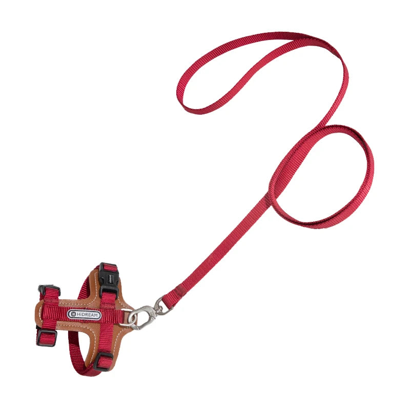 Harnais et laisse rouges pour chien sur fond blanc

