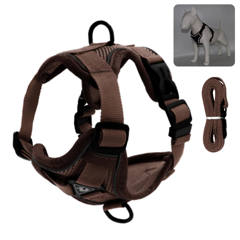 Harnais marron pour chien avec sangles noires et laisse sur fond blanc

