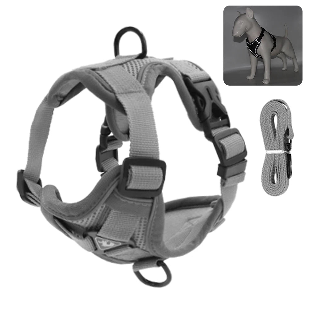 Harnais gris pour chien avec laisse sur fond blanc

