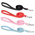 laisses de multiples couleurs pour chat sur fond blanc