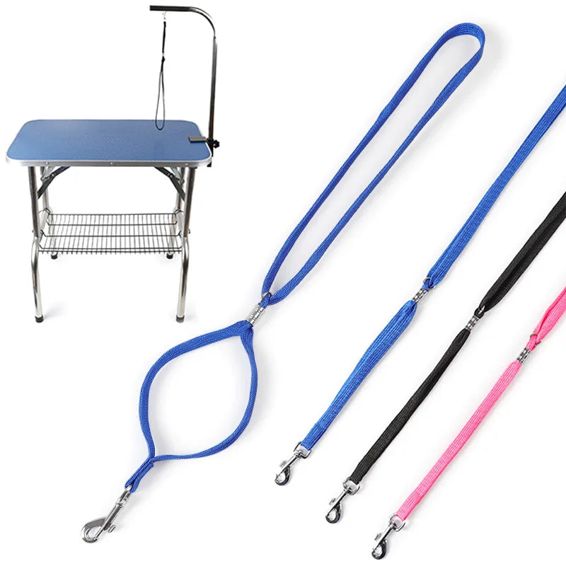 Un ensemble de laisses pour chat en bleu, noir et rose, avec une petite table en arrière-plan.

