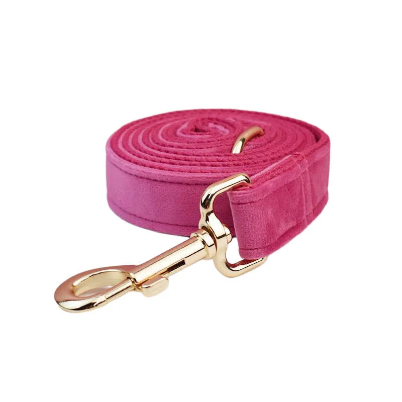 Laisse rose pour chat avec quincaillerie dorée sur fond blanc

