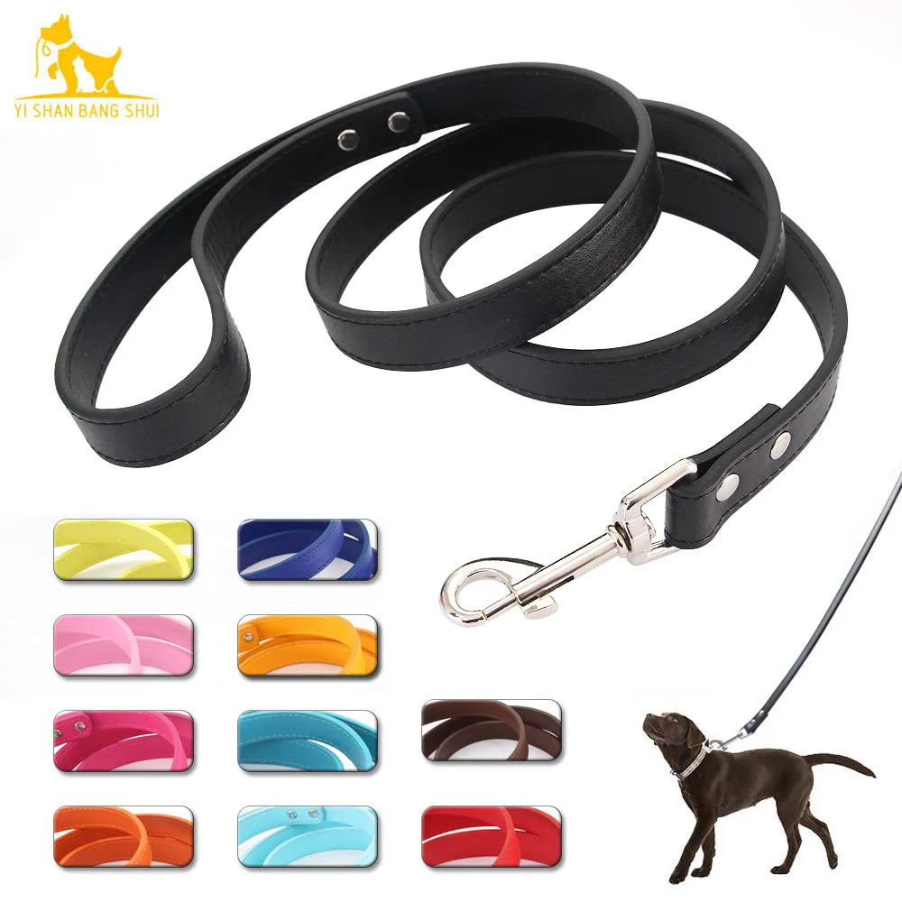 Laisse noire pour chien avec pince métallique et échantillons de couleur sur fond blanc

