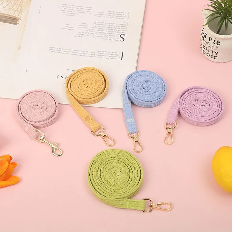 Un ensemble de laisses colorées sur une surface rose avec un livre et une plante en arrière-plan.


