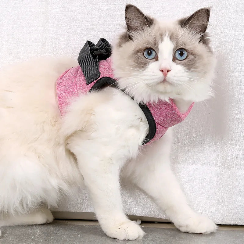 Chat portant un harnais rose avec un nœud noir sur fond blanc

