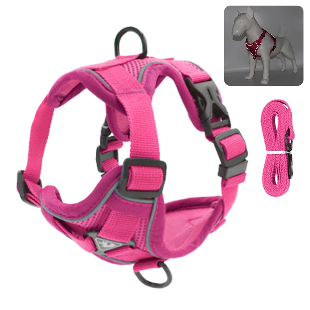 Harnais rose pour chien avec des accents gris et laisse assortie sur fond blanc.

