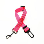 Laisse rose pour chien avec pince noire et mousqueton sur fond blanc

