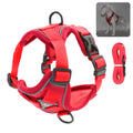 Harnais rouge pour chien avec accents gris et laisse assortie sur fond blanc

