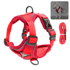 Harnais rouge pour chien avec accents gris et laisse assortie sur fond blanc

