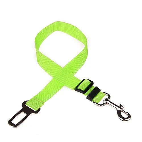 Laisse pour chien vert fluorescent avec pince métallique sur fond blanc

